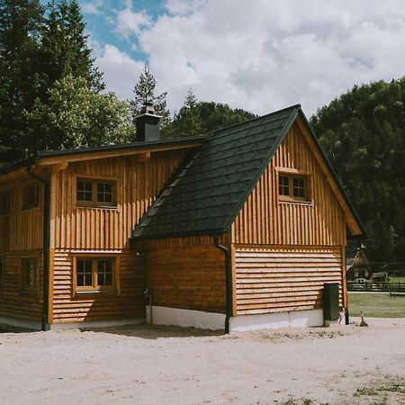 Naturparkresort S'Keuscherl Wildalpen Exteriér fotografie